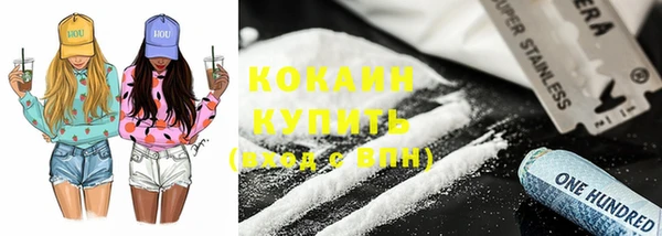 индика Армянск