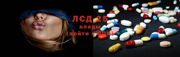 индика Армянск