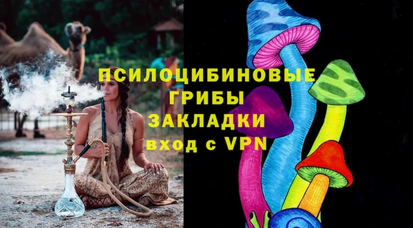 бошки Балахна