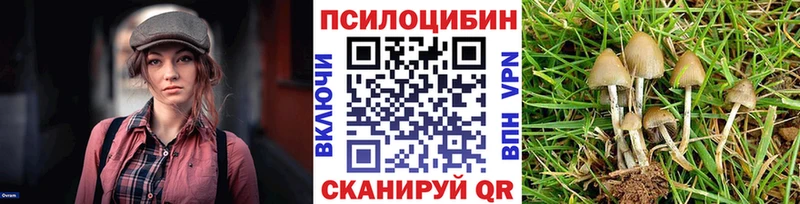 Псилоцибиновые грибы GOLDEN TEACHER  Купить где  Апатиты 